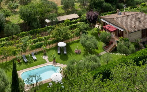 Villa Sorripa 6: Struik, Tuin, Verblijf, Backyard, Landgoed, Landscaping, Boerderij, Plantage, Werf, Gazon