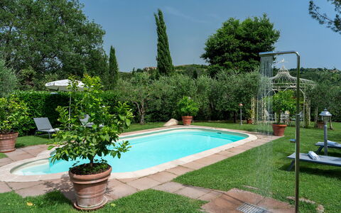 Villa Sorripa 6: Zwembad, Struik, Tuin, Toevlucht, Backyard, Buitenmeubels, Hacienda, Landscaping, Eco Hotel, Schaduw