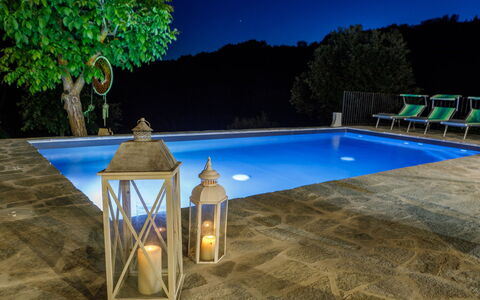 Villa Mia 6: Zwembad, Samengesteld Materiaal, Bloempot, Buitenmeubels, Toevlucht, Flagstone, Waterpartij, Kamerplant, Landscaping, Schaduw
