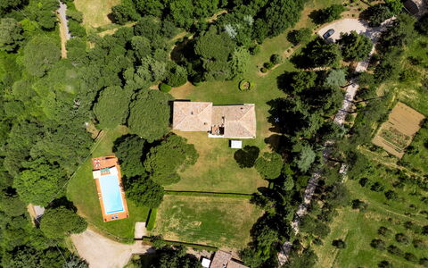Torre di Paciano 10+2: Boom, Natuurlijke Omgeving, Natuur, Landschap, Woongebied, Huis, Huis, Landgoed, Plain, Land Lot