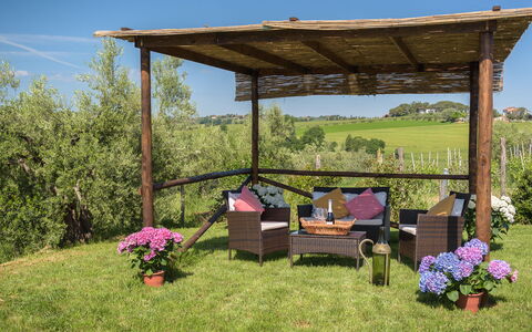 Poggio Vistabella 10: Tuin, Meubilair, Prieel, Paviljoen, Buitenmeubels, Outdoor Structuur, Schaduw, Pergola, Backyard