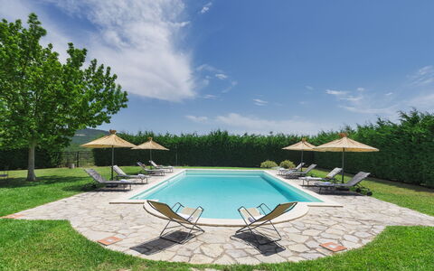 Villa Augusto 10: Zwembad, Buitenmeubels, Tuin, Toevlucht, Landscaping, Schaduw, Gazon, Ligstoel, Stoel, Eco Hotel