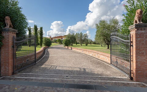 Villa Gabri 8: Steen, Metselwerk, Oprit, Tuin, Landgoed, Poort, Landscaping, Gang, Hek, Pad