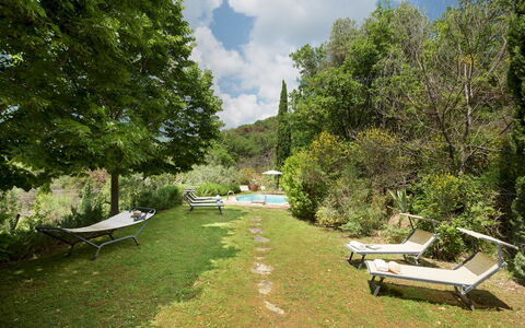 Le Volpaie 6+1: Vegetation, Struik, Landschap, Tuin, Buitenmeubels, Schaduw, Landscaping, Eco Hotel, Backyard, Gazon