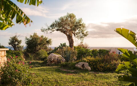 Villa Sanssouci 8: Lucht, Groen, Natuur, Blad, Vegetation, Natuurlijk Landschap, Struik, Landschap, Zomer