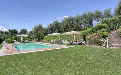 Germagnana 12+2: Struik, Tuin, Groundcover, Landgoed, Gazon, Plantage, Boerderij, Landscaping, Villa, Hacienda