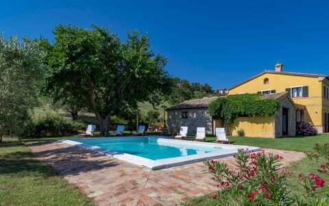 Casale Verdicchio 10+2: Landgoed, Verblijf, Zwembad, Boerderij, Hacienda, Villa, Gazon, Landscaping, Eco Hotel, Werf