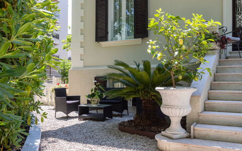 Villa Corona 8: Struik, Tuin, Bloempot, Schaduw, Landscaping, Kamerplant, Binnenplaats, Werf