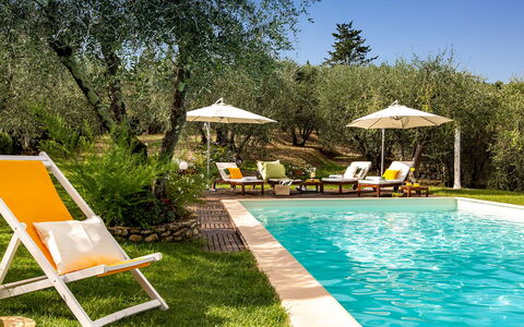 Villa Il Colle di Moriano 8: Meubilair, Buitenmeubels, Zwembad, Toevlucht, Ligstoel, Stoel, Eco Hotel, Schaduw, Tuin, Backyard