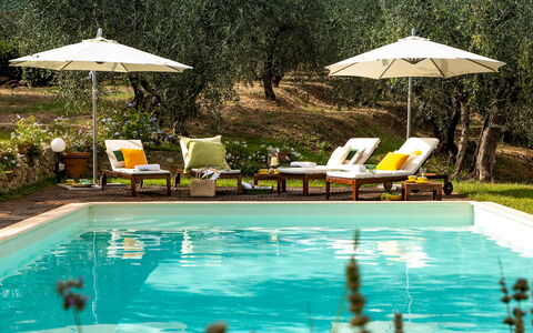 Villa Il Colle di Moriano 8: Zwembad, Buitenmeubels, Toevlucht, Ligstoel, Meubilair, Paraplu, Eco Hotel, Tuin, Stoel, Schaduw