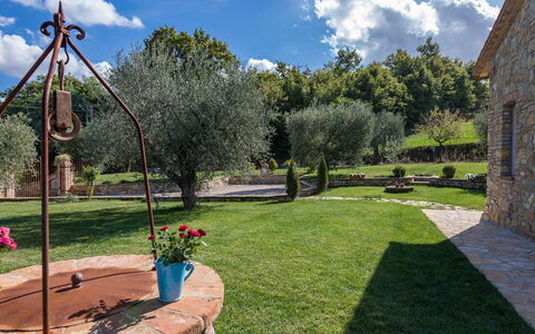 La Villetta di Dante 6: Tuin, Struik, Backyard, Landscaping, Gazon, Werf, Schaduw, Steen, Flagstone, Hacienda