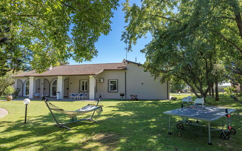 Villa Rasena 6: Boom, Gras, Huis, Huis, Woongebied, Landgoed, Verblijf, Gazon, Boerderij