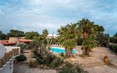 Villa Manco 12: Boom, Toevlucht, Schaduw, Eco Hotel, Buitenmeubels, Hacienda, Landscaping, Landgoed, Tropen