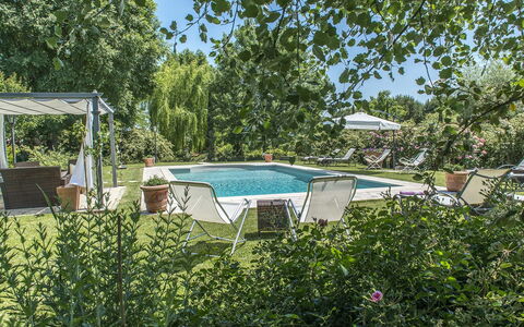 Albachiara 8: Struik, Buitenmeubels, Zwembad, Tuin, Schaduw, Landscaping, Backyard, Vrije Tijd, Stoel, Toevlucht