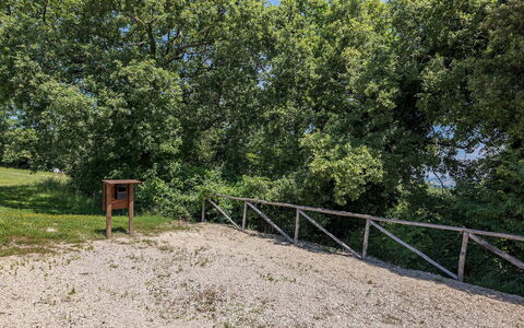 Il Colle di Donna Ilaria 12: Boom, Blad, Afdeling, Woody Plant, Trail, Bos, Bodem, Park, Hek, Pad