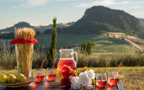Il Poggiarellone 14: Tableware, Voedsel, Drinkware, Serveware, Ingrediënt, Barware, Glaswerk