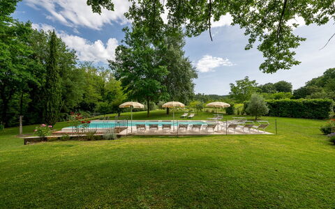 Il Molinaccio 14+2: Boom, Zwembad, Tuin, Toevlucht, Buitenmeubels, Schaduw, Gazon, Park, Landscaping, Eco Hotel