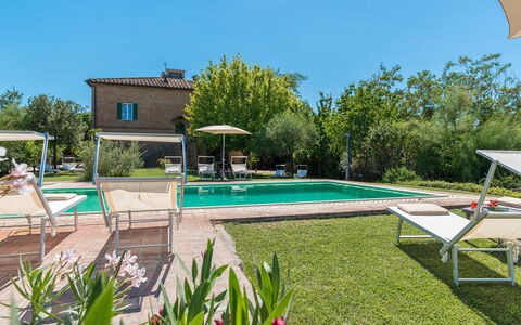 Finestra su Siena 16: Zwembad, Buitenmeubels, Tuin, Toevlucht, Backyard, Landgoed, Ligstoel, Landscaping, Werf, Stoel