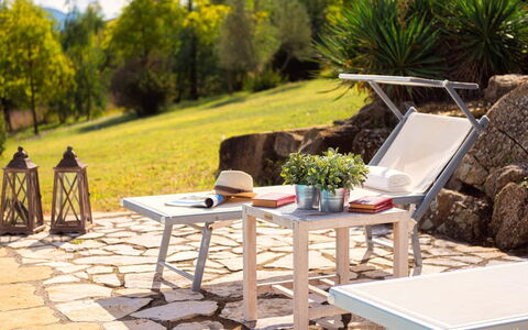 Cinque Cipressi 8: Meubilair, Buitenmeubels, Tafel, Stoel, Buitentafel, Patio, Schaduw, Koffietafel, Tuin, Keuken En Eettafel