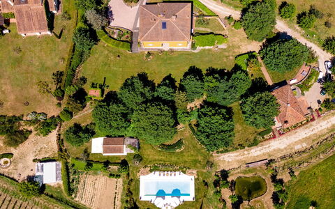 Le Querce dei Medici 12+2: Boom, Huis, Woongebied, Landschap, Land Lot, Landelijk Gebied, Huis, Plain, Menselijke Nederzetting, Landgoed