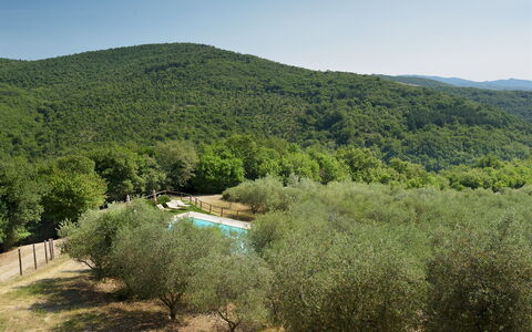 Villa la Poiana 10