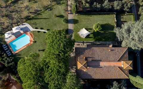 Villa Beltrami 14: Boom, Landschap, Woongebied, Landgoed, Land Lot, Tuin, Zwembad, Gazon, Landscaping, Hacienda