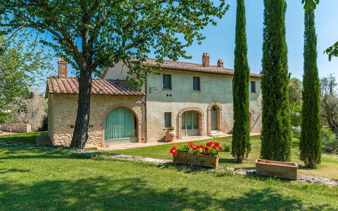 San Francesco 12