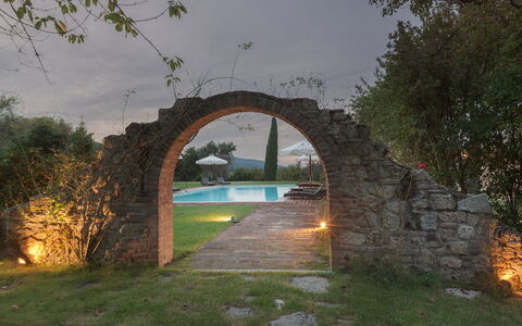 San Francesco 12