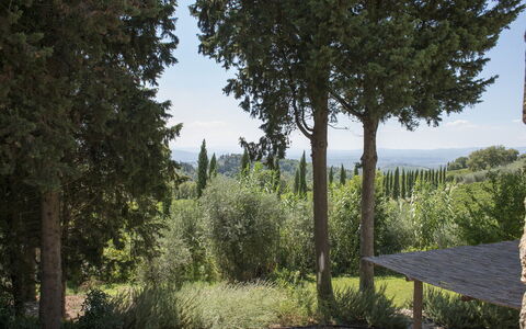 Villa delle Upupe 8