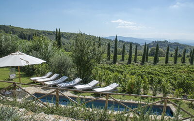 Villa delle Upupe 8