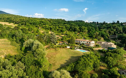 Casale le Conce 6: Boom, Vegetation, Landelijk Gebied, Landgoed, Woud, Heuvel Station, Weide, Eco Hotel, Pasture, Plantage