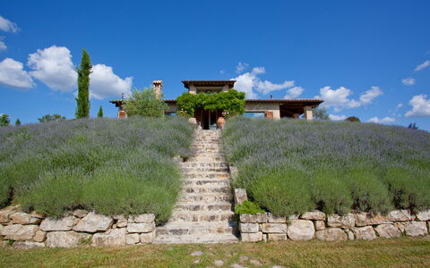 Casale delle Lavande 10