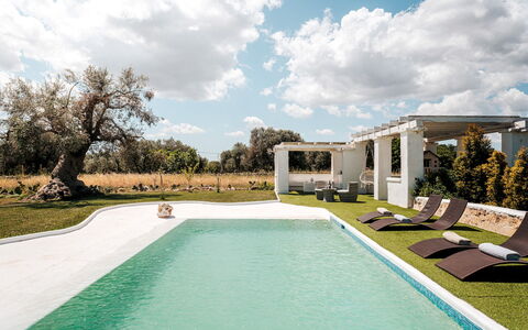 White Stone House 6+1: Zwembad, Landgoed, Tuin, Gazon, Landscaping, Schaduw, Hacienda, Villa, Backyard, Werf