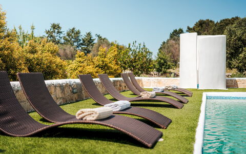 White Stone House 6+1: Buitenmeubels, Schaduw, Tuin, Landscaping, Gazon, Ligstoel, Ontwerp, Chaise Longue, Park, Zwembad