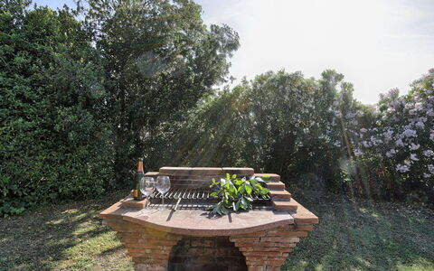 Virginia 8: Hout, Struik, Tuin, Buitenmeubels, Trunk, Landscaping, Openluchtbank, Buitentafel, Backyard, Park