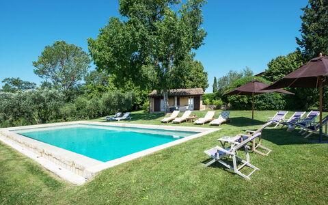 Podere Gragnano 12: Boom, Huis, Huis, Land Lot, Landgoed, Boerderij, Verblijf, Tuin, Gazon, Zwembad