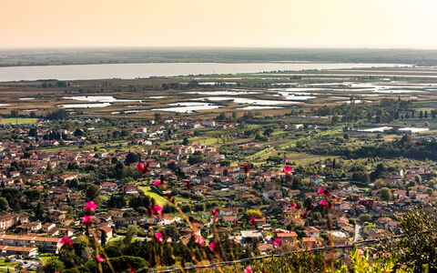 Il Ciliegio sul Lago 6: Woongebied, Vogelperspectief, Luchtfotografie, Landschap, Buurt, Voorstad, Stedelijk Ontwerp, Veld, Dorp, Plantage