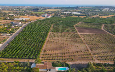 Il Giardino dei Limoni 8: Vogelperspectief, Landbouw, Veld, Landschap, Plantage, Plain, Land Lot, Luchtfotografie, Bijsnijden, Boerderij