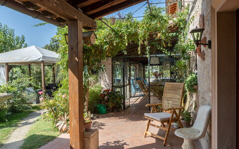 Villa Agave 8: Meubilair, Bloempot, Stoel, Tafel, Buitenmeubels, Kamerplant, Tuin, Deur, Patio