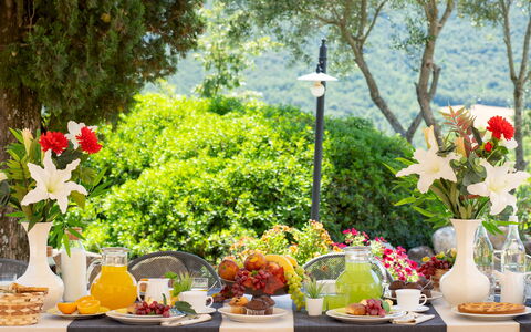 Terripi 10: Tableware, Groen, Tafel, Meubilair, Voedsel, Fruit, Tafelkleed, Drinkware, Serveware