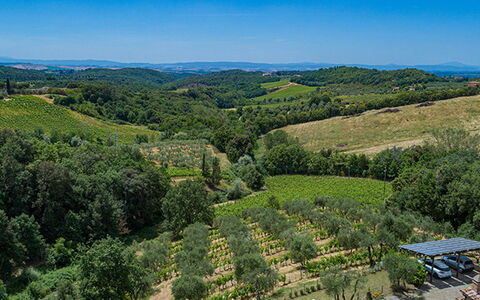 Villa Santa Maria 14
