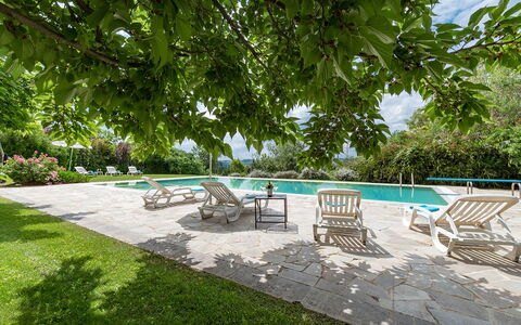 Villa Ambrah 12+1: Zwembad, Buitenmeubels, Tuin, Schaduw, Toevlucht, Stoel, Flagstone, Eco Hotel, Landscaping, Backyard