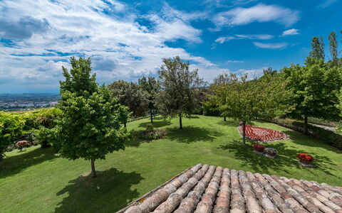 Villa Ambrah 12+1: Lucht, Boom, Gras, Natuur, Groen, Vegetation, Landschap, Struik, Wolk, Land Lot