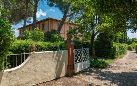 Villa delle Sophore 12: Struik, Woongebied, Huis, Huis, Landgoed, Tuin, Landscaping, Hacienda, Werf, Schaduw