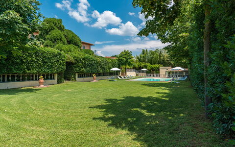 Villa delle Sophore 12: Zwembad, Struik, Tuin, Gazon, Schaduw, Landgoed, Landscaping, Werf, Backyard, Haag