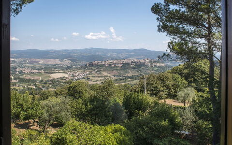 Villa Ombrosa 8