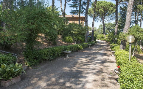 Villa Ombrosa 8