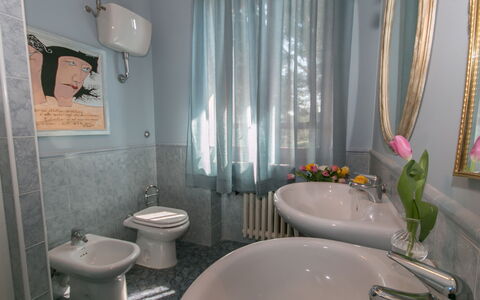 Villa Ombrosa 8: Loodgieterswerkinrichting, Badkamer, Spiegel, Wastafel, Wastafel In De Badkamer, Kraan, Kamerplant, Stoel, Loodgieter, Lichte Inrichting
