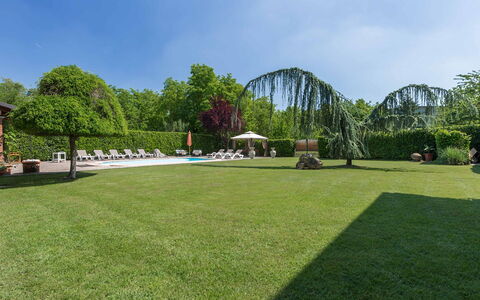 Villa Miki 10: Boom, Gras, Struik, Tuin, Zwembad, Land Lot, Vrije Tijd, Gazon, Schaduw, Landscaping