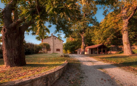 Casale del Castagneto 8: Boom, Afdeling, Gras, Blad, Natuur, Huis, Verblijf, Huis, Landschap, Dak
